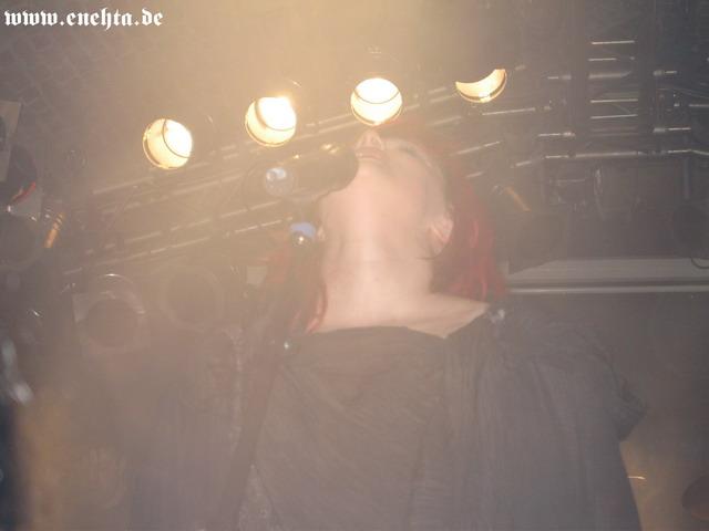 Lame Immotrelle vom 20.02.2008-029.jpg